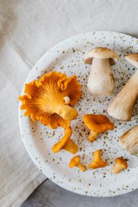 Kaboompics - Close-Up Mushroom Still Life on Ceramic Plates