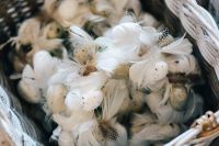 Kaboompics - Fancy restaurant dinner table decorated with quail eggs and feathers