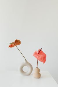 Kaboompics - Minimal Neutral Flower Arrangement with Anthurium and White Ceramic Vase