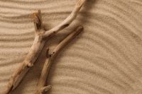 Kaboompics - Driftwood on Rippled Sand Texture