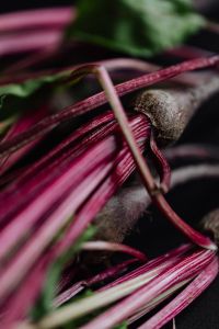 Kaboompics - Close-Up Beetroot Stems Crossing Green Leaves, Dramatic Natural Texture for Food Design