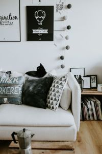 Kaboompics - Black Cat beneath Framed Adventure Prints and Wooden Bead Garland, Monochrome Bedroom Decor