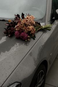 Kaboompics - Autumn Bouquet on a Rain-Covered Car Hood