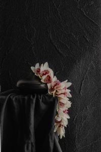 Kaboompics - White Orchids Cascading Over a Black Vase and Dark Fabric