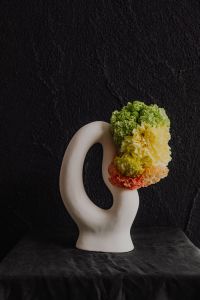 Kaboompics - Sculptural White Vase with Green Floral Cluster on Black
