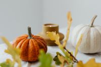 Kaboompics - Orange Pumpkin with Candle and Oak Leaves in Autumn