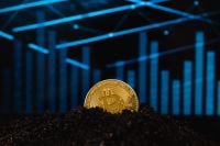 Kaboompics - Bitcoin Coin in Soil With Blue Bar Chart