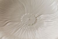 Kaboompics - Abstract Tableware Background with Radiating White Ceramic Plate Ridges