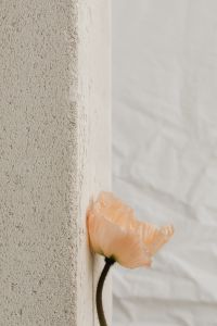 Kaboompics - Abstract Floral Detail on a Light Fabric Background