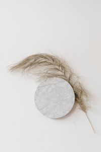 Kaboompics - Dried Pampas Plume Arcing over Marble with Copy Space for Neutral Home Decor