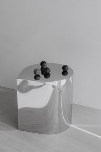 Kaboompics - Black and White Plums on Reflective Chrome Table