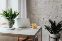 Kaboompics - Bright Home Office Desk with Open Laptop, White Tulips and Orange Juice