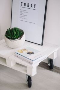 Green plant with magazines