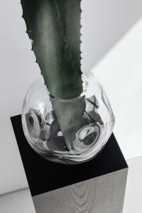 Kaboompics - Agave Leaf In Glass Vase Casting A Long Shadow Across White Wall