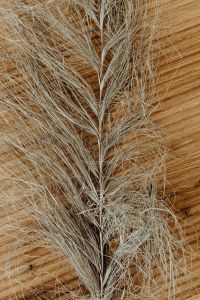 Kaboompics - Dried Grass Texture Against Warm Wood for Rustic Interior and Natural Product Design