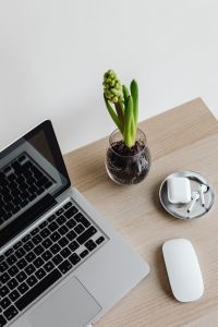 Kaboompics - Top View of Laptop, Green Plant, AirPods and Mouse