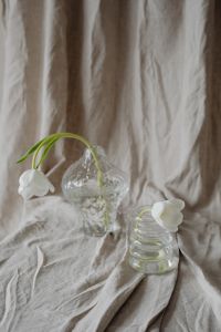 Kaboompics - White Tulips in Two Clear Glass Vases Against a Soft Draped Linen Background