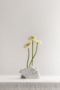 Kaboompics - Three White Gerberas in a Marble Stone Holder