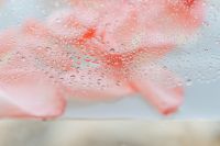 Kaboompics - Water Droplets on Glass with a Blurred Pink Rose Background
