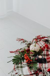 Kaboompics - White Pumpkins and Rowan Berries on Plaid Blanket
