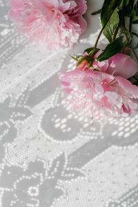 Kaboompics - Pink Peonies and Bud on White Lace with Sun Shadows