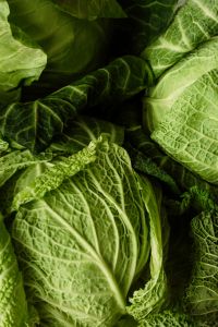 Kaboompics - Overlapping Cabbage Leaves in Green, Botanical Vegetable Background