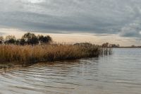 Kaboompics - Calm Autumn Lake with Reeds Under a Cloudy Sky
