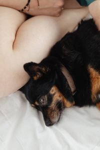 Kaboompics - Small Dog Resting on Pregnant Woman's Legs