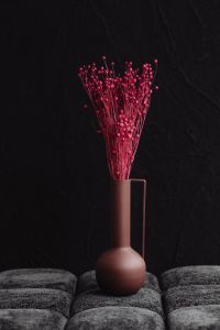 Kaboompics - Red Flax Seed Pod Arrangement In Tall Brown Pitcher