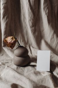 Kaboompics - Portrait Business Card beside a Small Vase and Dried Rose