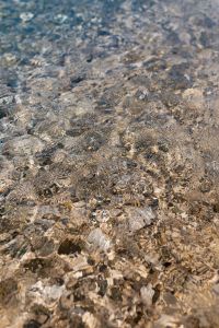 Kaboompics - Neutral Shallow Seawater and Pebbles with Reflective Ripple Texture