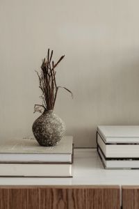 Kaboompics - Textured Vase with Dried Branches and Stacked Books on a Neutral Sideboard