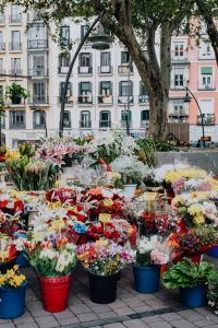 Kaboompics - Street Flower Stall with Fresh Bouquets under City Trees