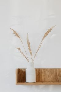 Kaboompics - Close-Up of Pampas Grass in White Vase on Wooden Wall Shelf