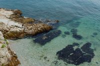 Kaboompics - Rocky coastline on the Adriatic Sea in the small town of Rovinj, Croatia