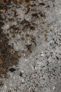 Kaboompics - Fine Grained Beige Gray Stone with Scattered Dark Specks