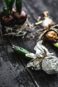 Kaboompics - Woman making a little ornamental seedling in a small jar