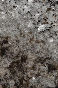 Kaboompics - Sparkling Mineral Flecks Across a Weathered Stone Surface