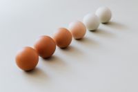 Kaboompics - Brown-to-White Eggs in an Ascending Diagonal Row, Neutral Spring Food Styling