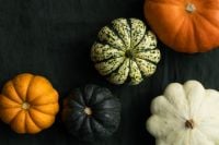 Kaboompics - Colorful Pumpkins on Dark Green Fabric With Copy Space