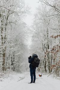 Kaboompics - Hiker Walking Along A Snowy Forest Trail