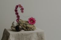 Kaboompics - Pink Floral Arch with Dried Moss and Natural Stones