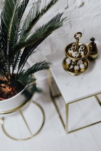 Kaboompics - Palm Fronds beside a Gold Quail Egg Stand on Marble