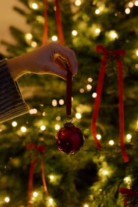 Kaboompics - Christmas Tree Branch with Red Ribbon and Warm Lights