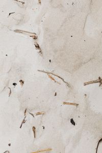 Kaboompics - Coastal Dried Grass on a Sandy Beach