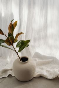 Kaboompics - Green and Brown Leaves in White Ceramic Vase Against Sheer Curtain