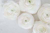 Kaboompics - Close-Up White Ranunculus Petals on a Pale Neutral Background