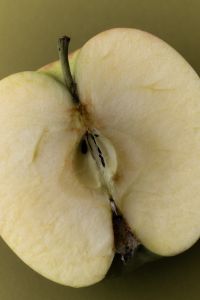 Kaboompics - Close Up of Apple Halves on Olive Green Background