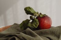 Kaboompics - Single Red Apple with Dried Leaves on Olive Linen, Rustic Autumn Still Life