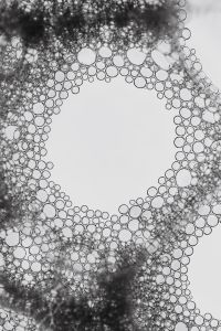 Kaboompics - Large Bubble Formation Abstract Monochrome Texture